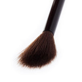 02 Highlighting Brush