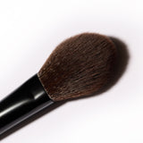 01 Setting Brush